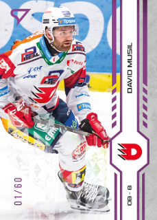 David Musil Pardubice Tipsport ELH 2024/25 SportZoo 1. serie Purple Iceberg /60 #025