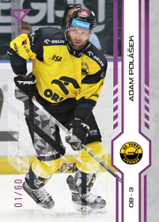 Adam Polasek Litvinov Tipsport ELH 2024/25 SportZoo 1. serie Purple Iceberg /60 #061