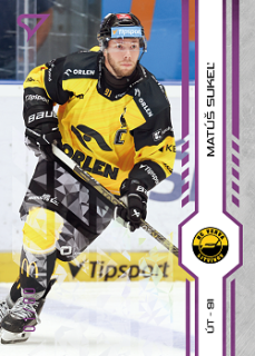 Matus Sukel Litvinov Tipsport ELH 2024/25 SportZoo 1. serie Purple Iceberg /60 #072