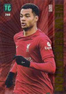 Cody Gakpo Liverpool Panini Top Class 2023 New Sensation #260